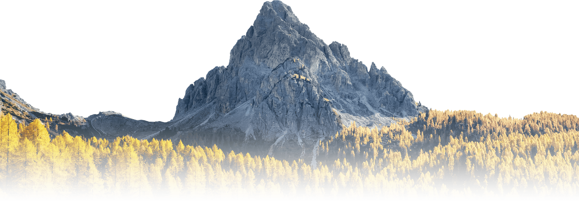 Mountain Front with Trees